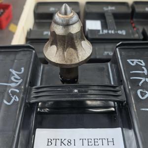 BTK81 Teeth