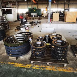 Slewing Bearing
